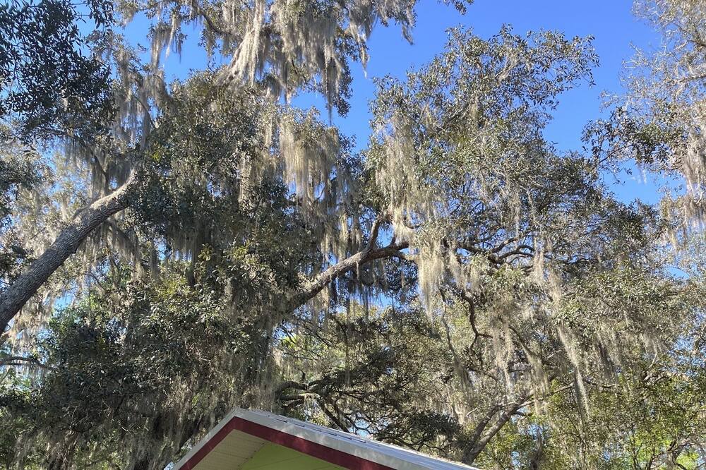 Photo of Outdoor in Edgar