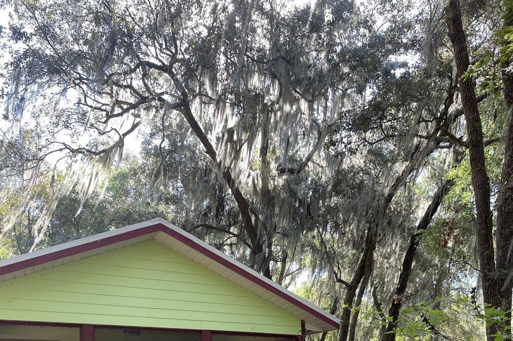Photo of Outdoor in Edgar