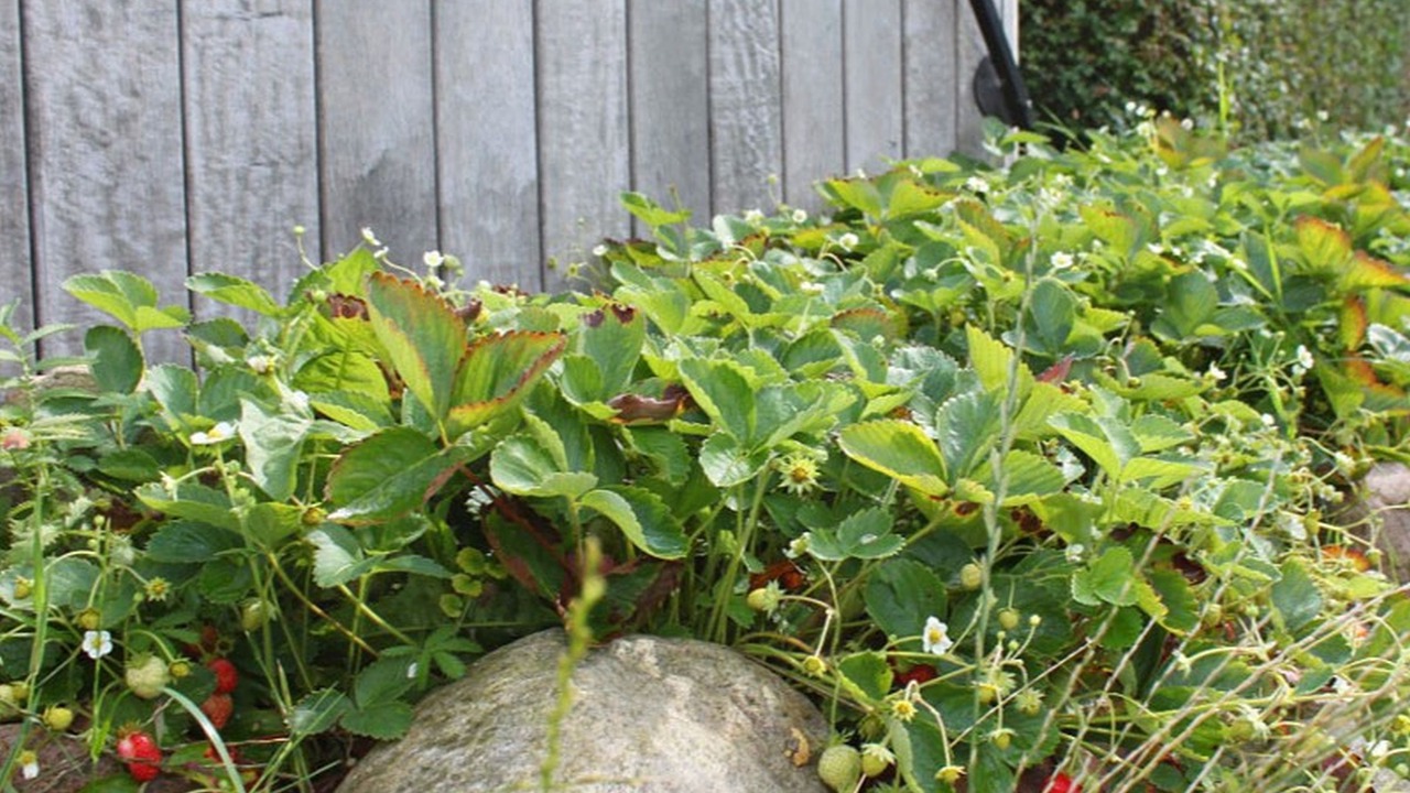 Photo of Outdoor in Bjert