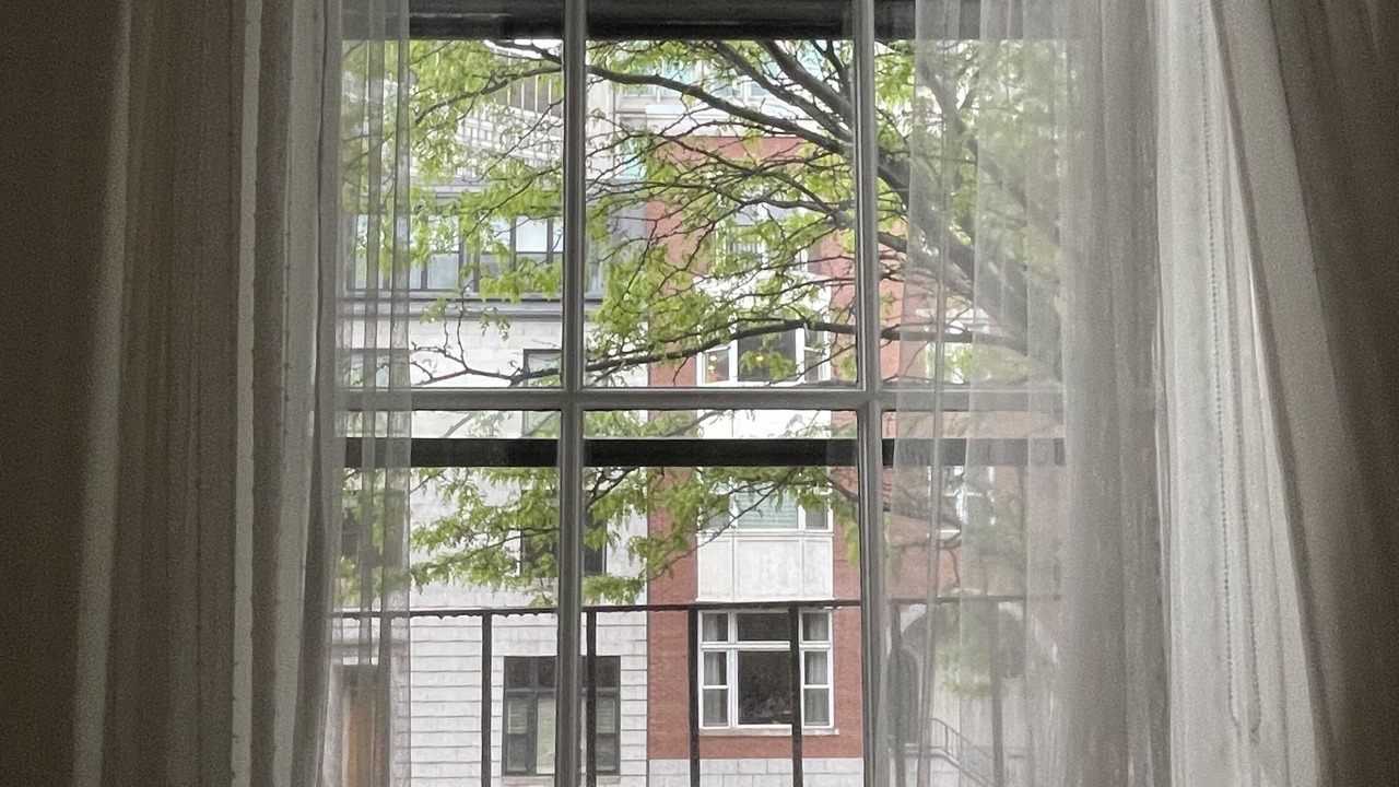 Photo of Others in Beacon Hill