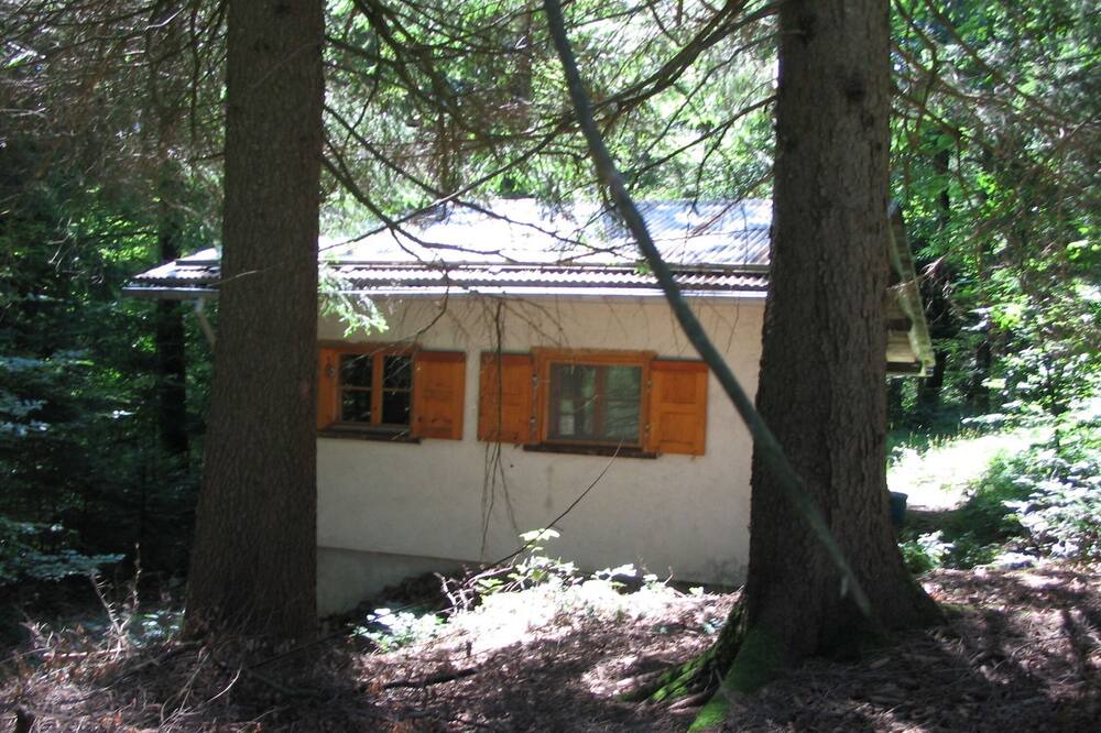 Photo of Outdoor in Seewis im Prattigau