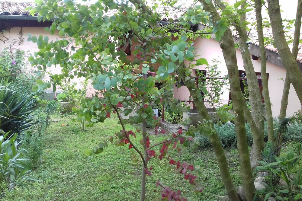 Photo of Outdoor in Colomiers