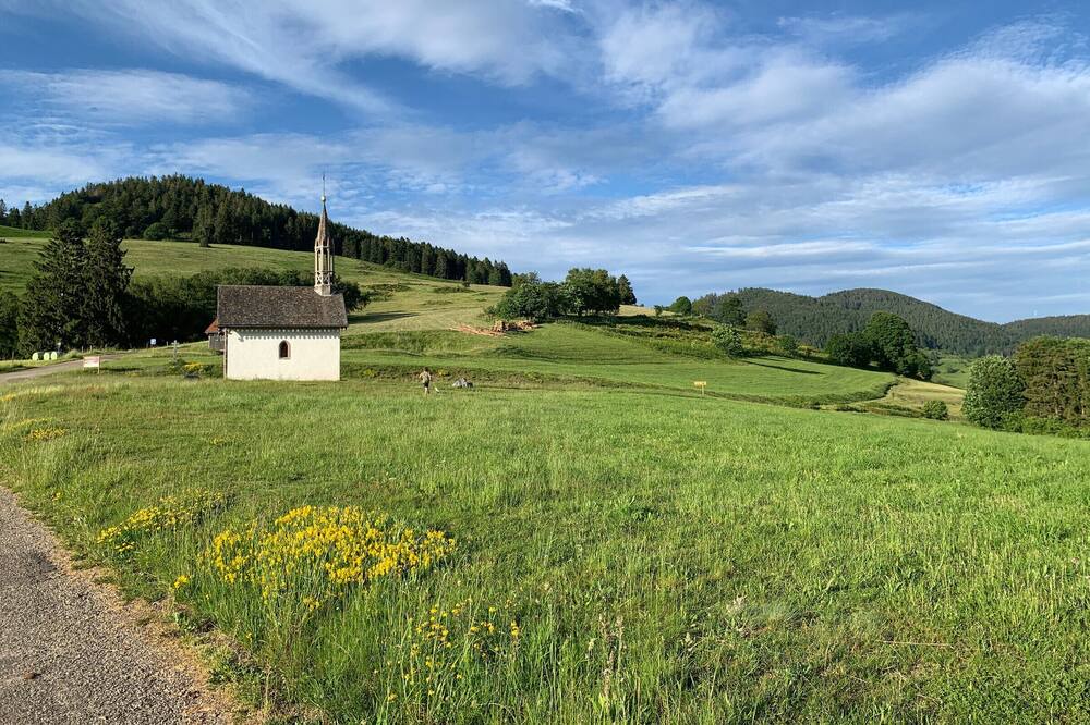 Photo of Outdoor in Fresse-sur-Moselle