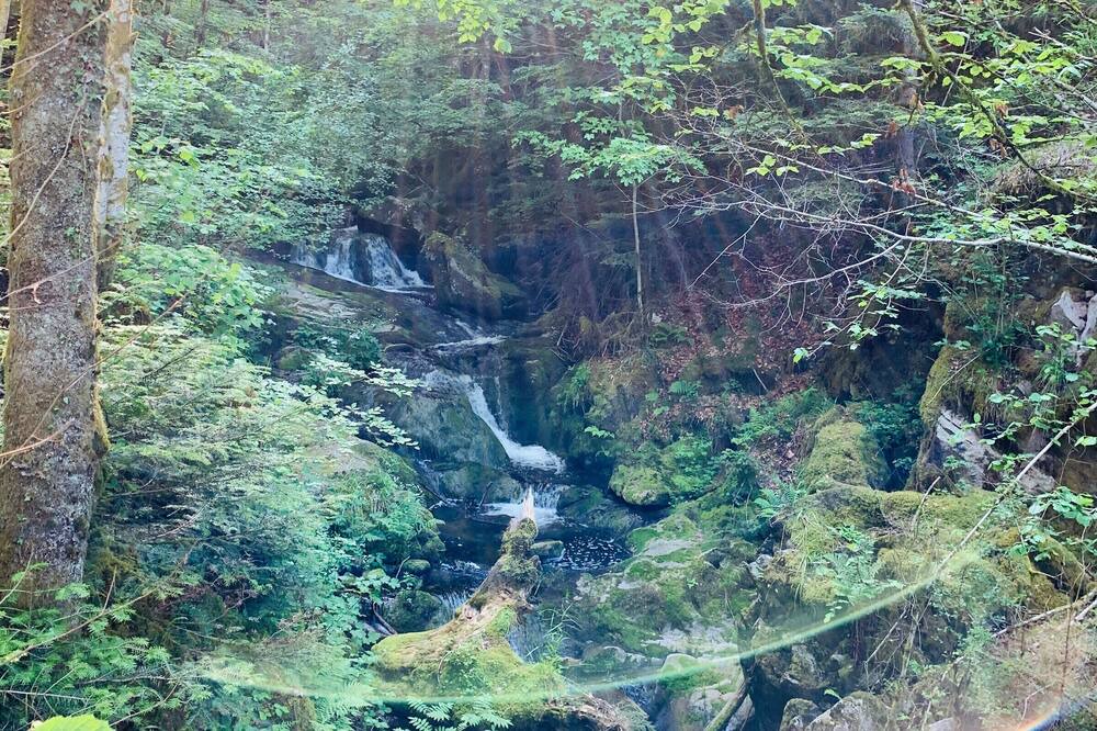 Photo of Outdoor in Fresse-sur-Moselle