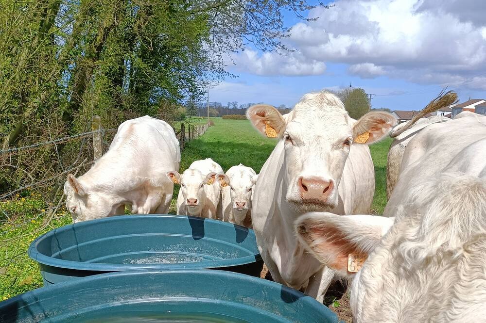 Photo of Others in Hautot-Saint-Sulpice