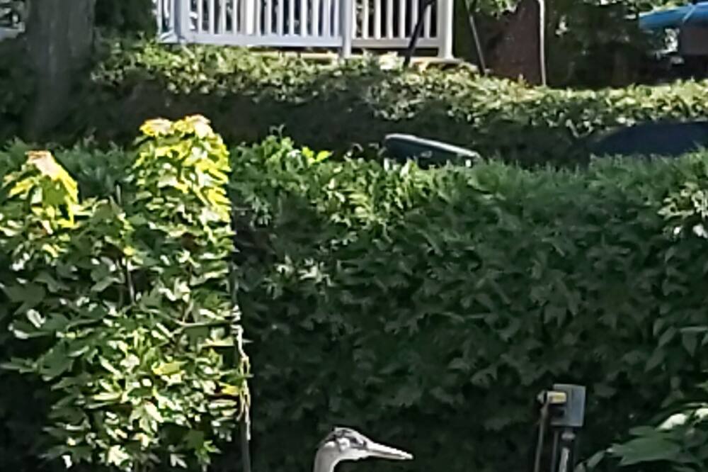 Photo of Outdoor in Saint-Anicet