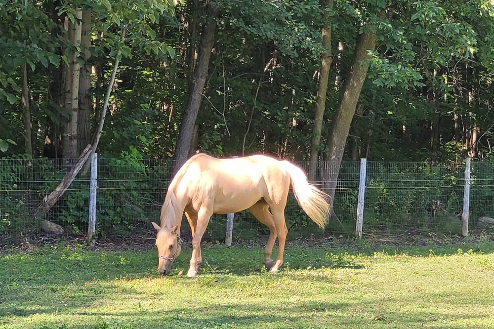 Photo of Outdoor in Saint-Anicet