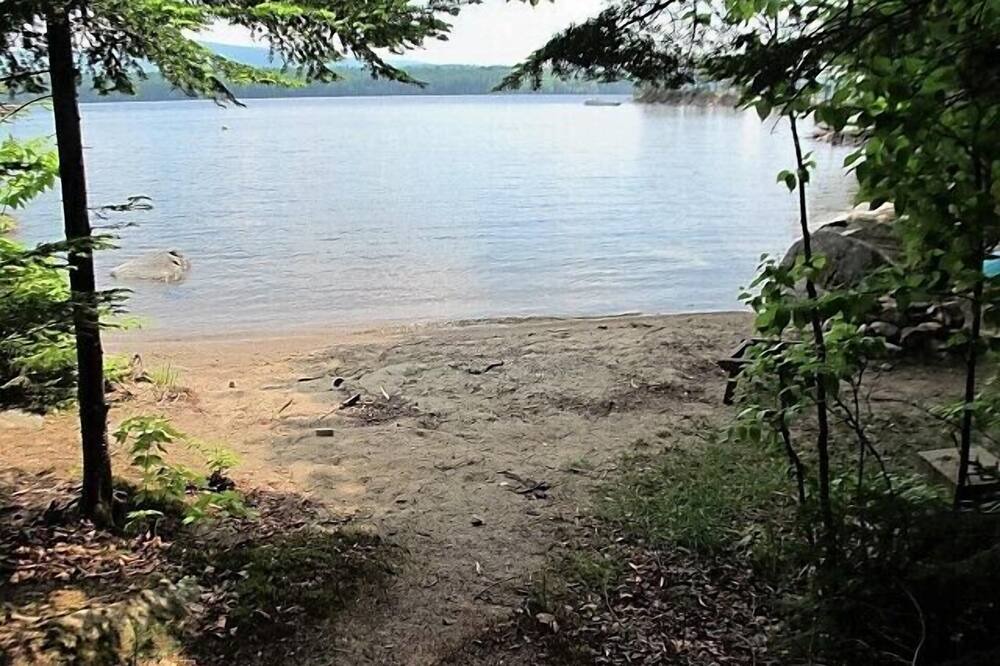 Photo of Others in Rangeley Plantation