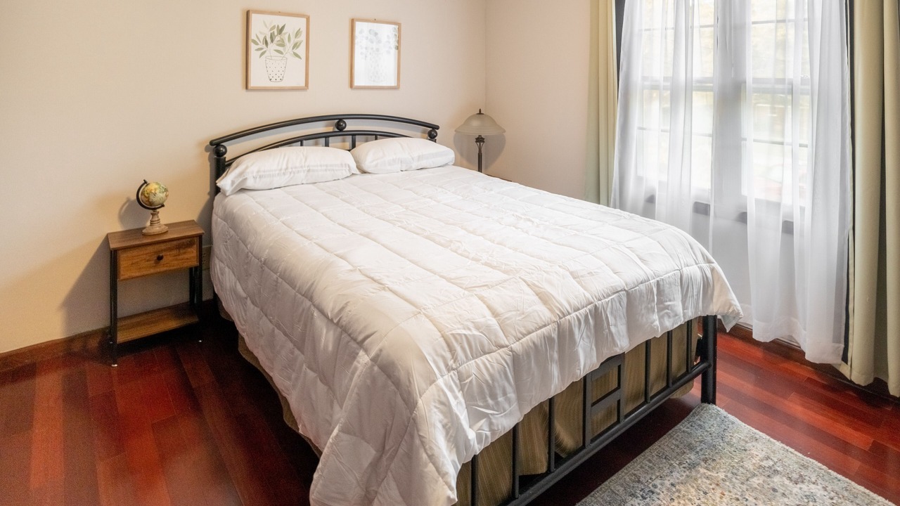 Photo of Others in Stone Mountain