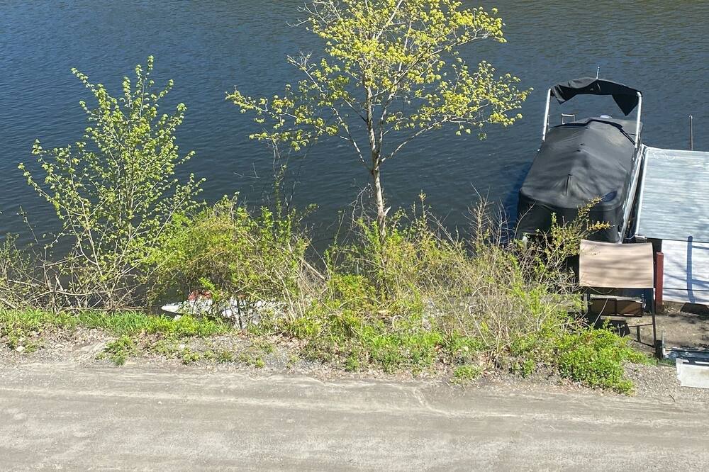 Photo of Outdoor in South Britain