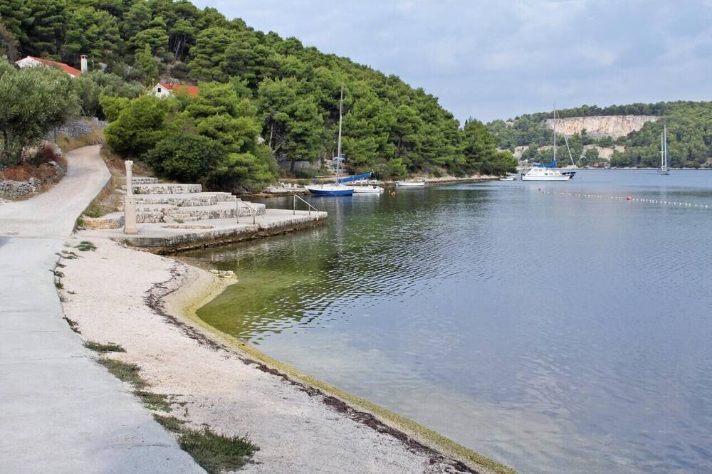 Photo of Others in Cove Makarac (Milna)
