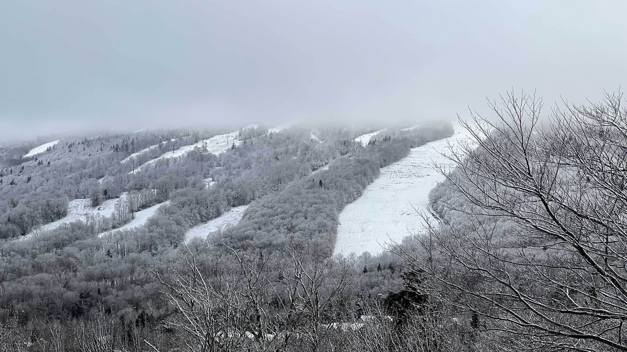 Photo of Others in West Dover