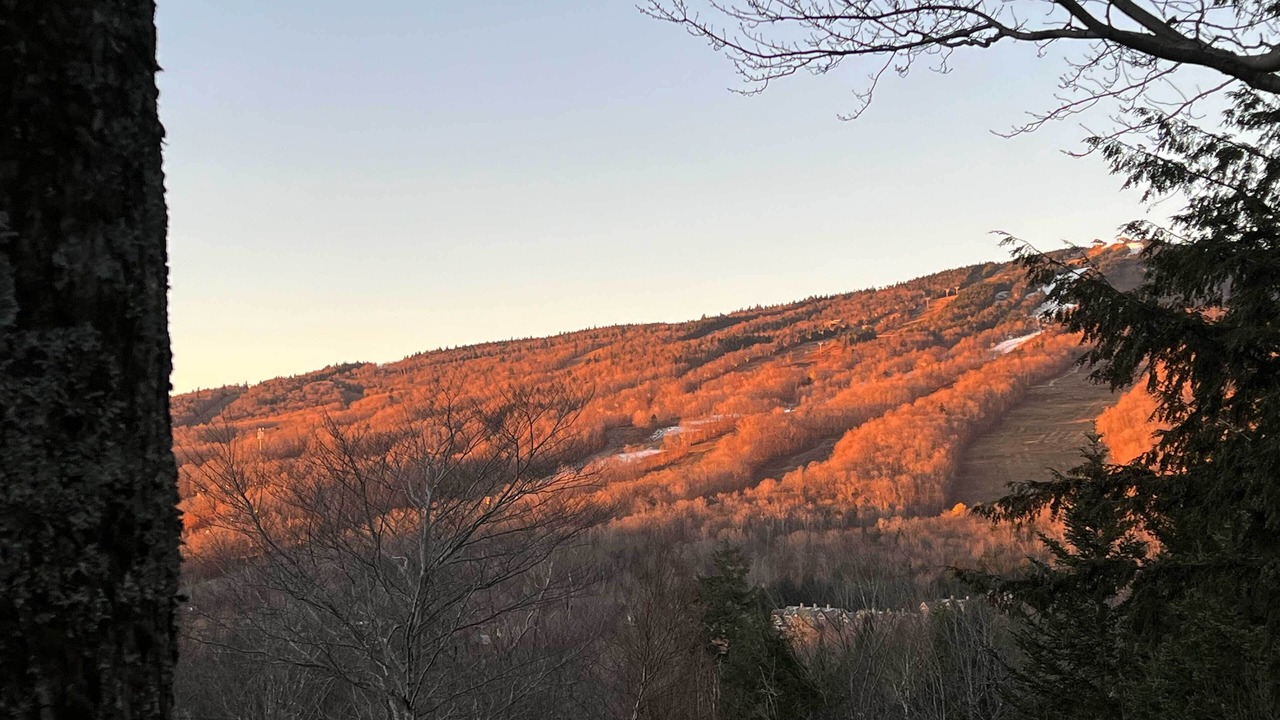 Photo of Others in West Dover