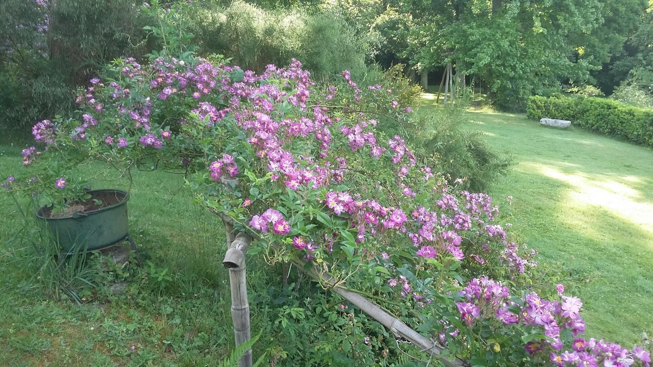 Photo of Outdoor in Augreilh