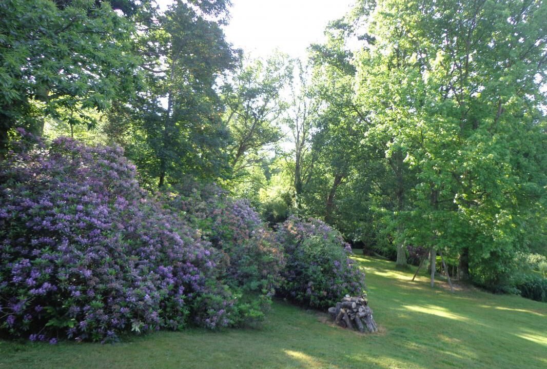 Photo of Outdoor in Augreilh