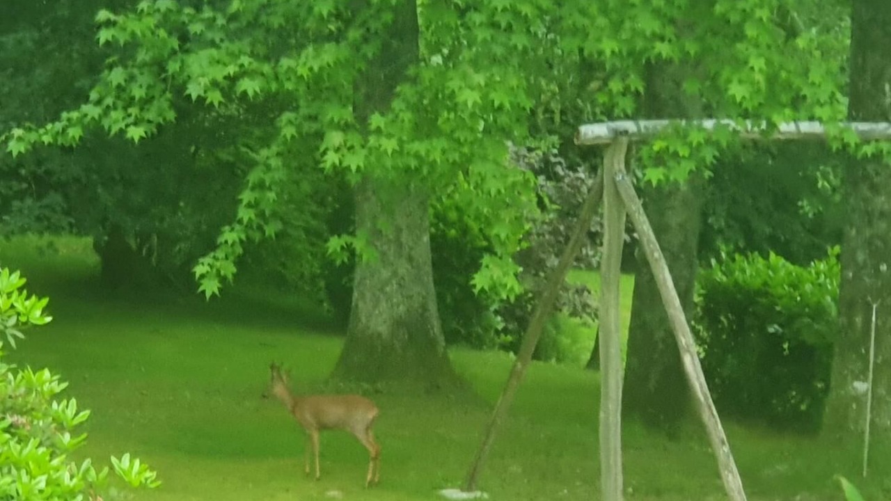 Photo of Others in Augreilh