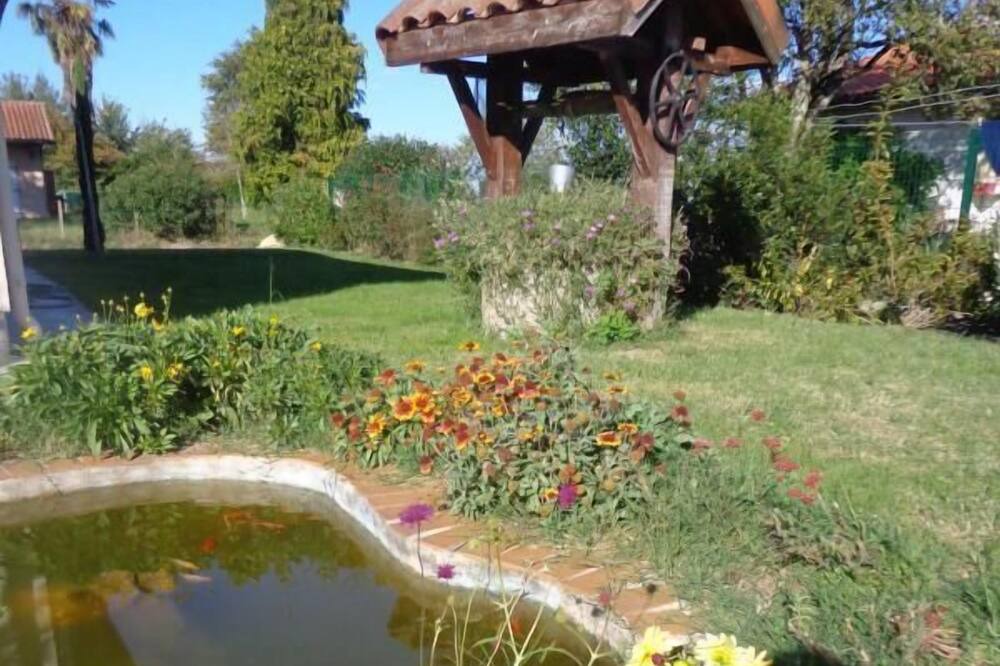 Photo of Outdoor in Meilhan
