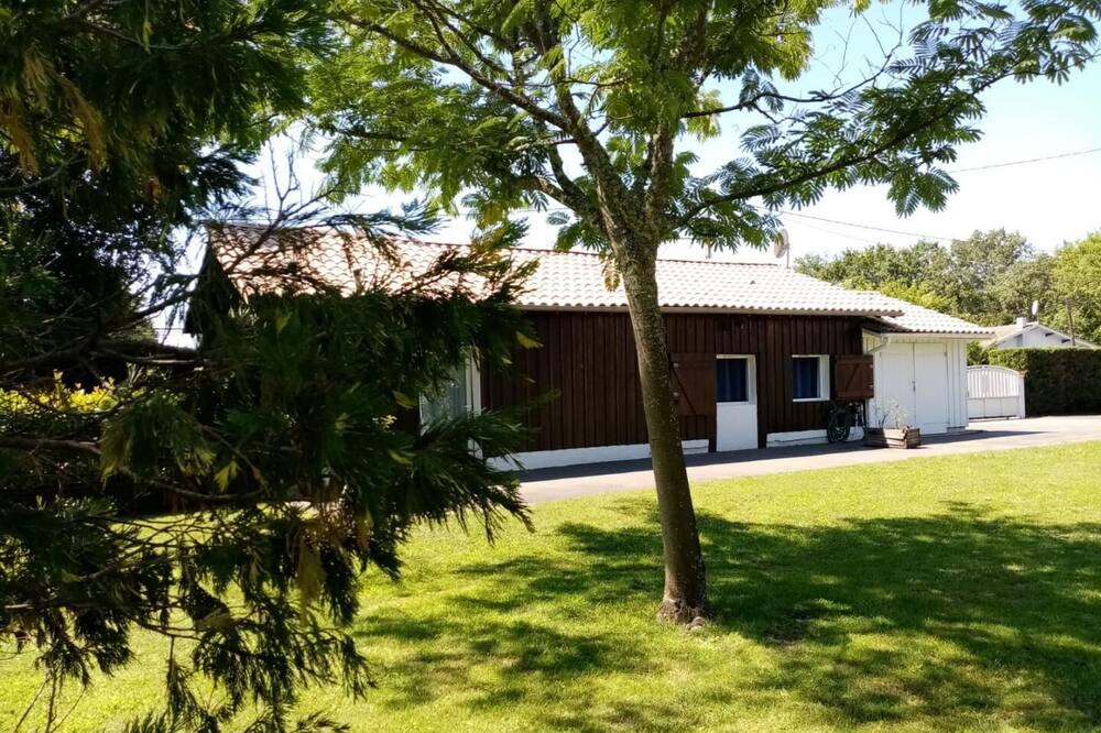 Photo of Outdoor in Sanguinet