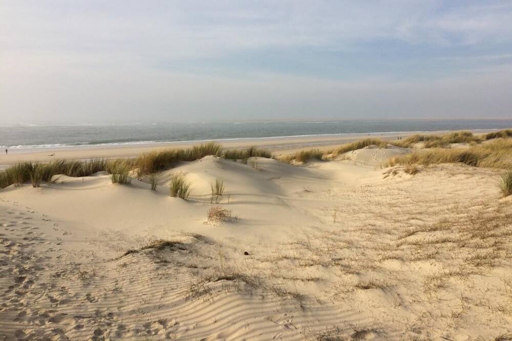 Photo of Others in Sanguinet