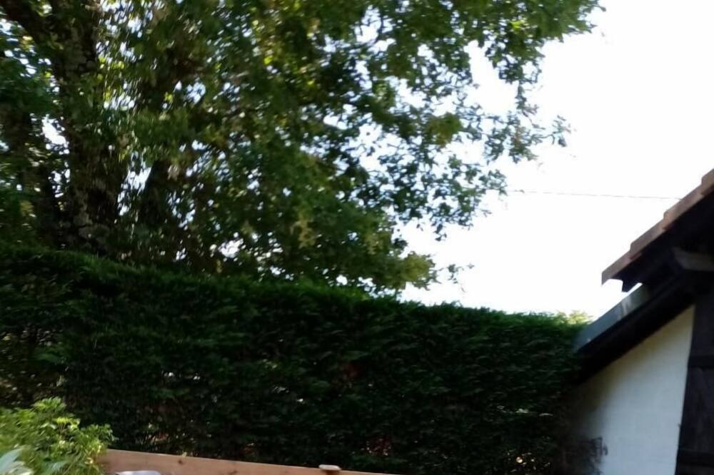 Photo of Outdoor in Sanguinet