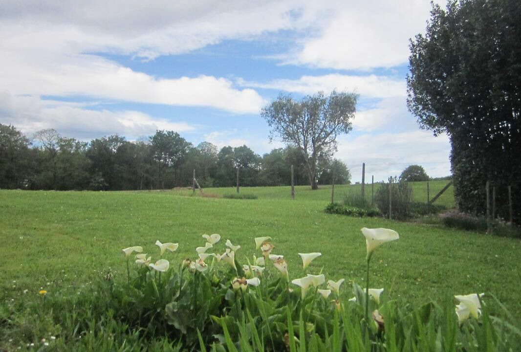 Photo of Others in Biarrotte