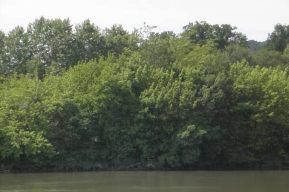 Photo of Others in Sainte-Marie-de-Gosse