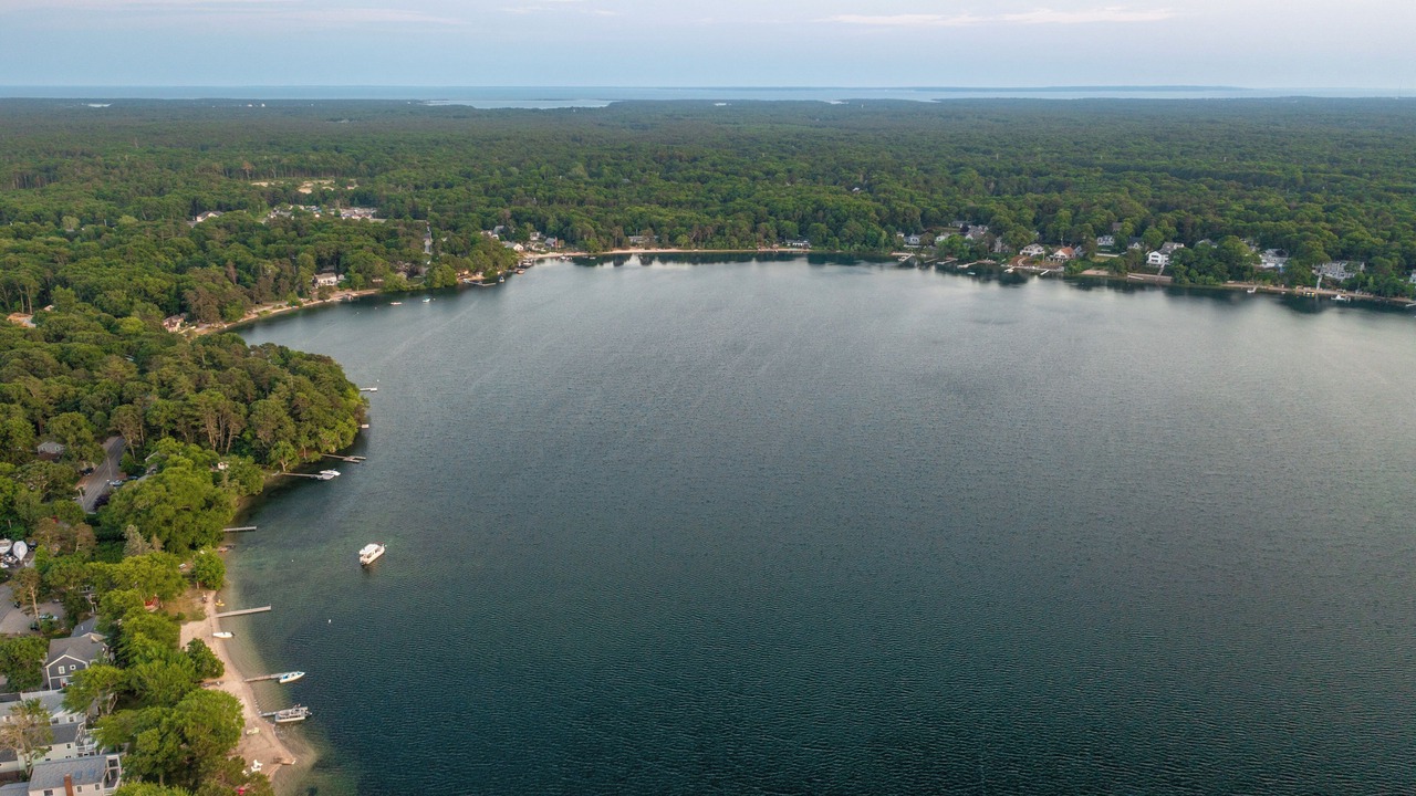 Photo of Others in Mashpee