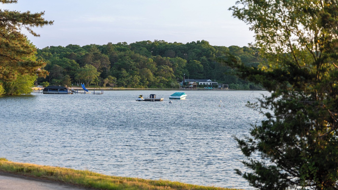 Photo of Others in Mashpee