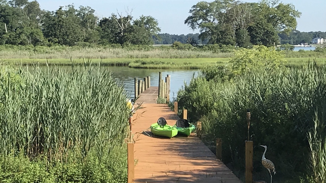 Photo of Outdoor in Mastic Beach