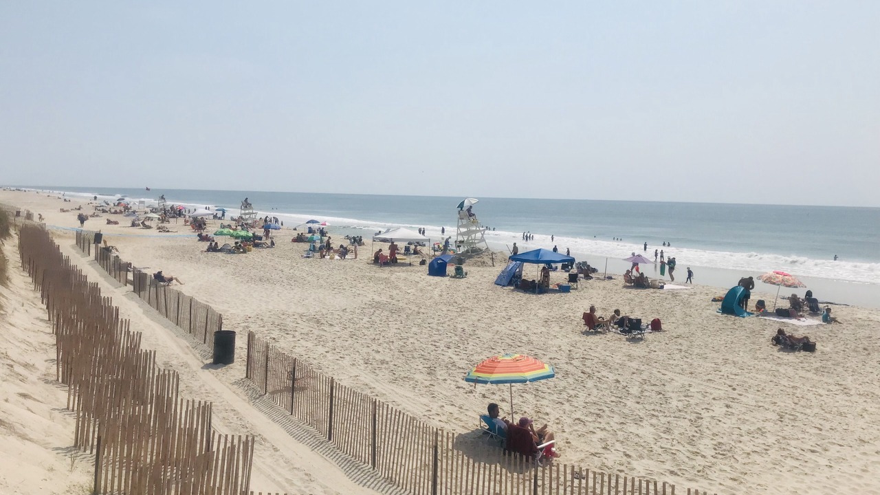 Photo of Others in Mastic Beach