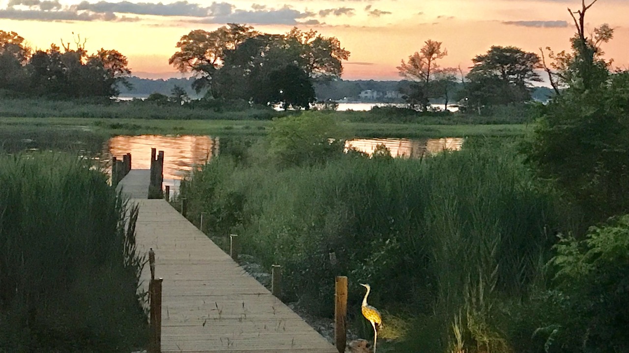 Photo of Outdoor in Mastic Beach