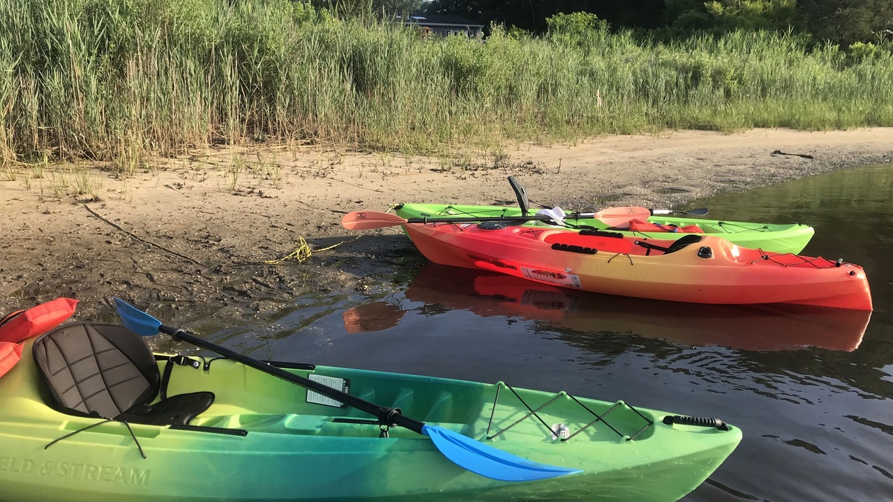 Photo of Others in Mastic Beach
