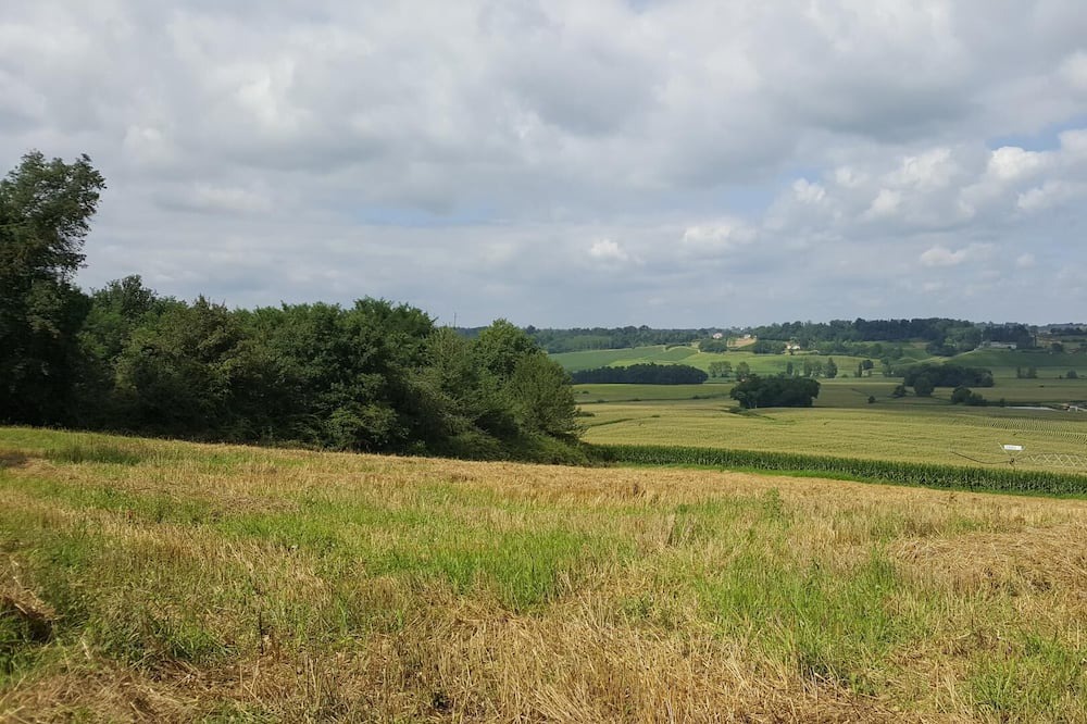 Photo of Others in Bats