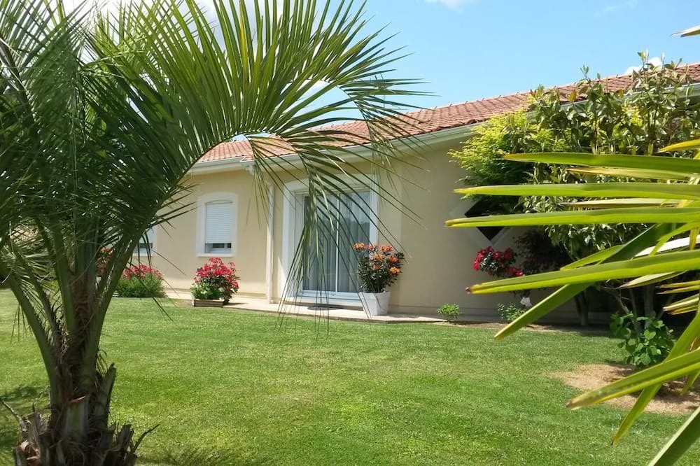 Photo of Outdoor in Bats