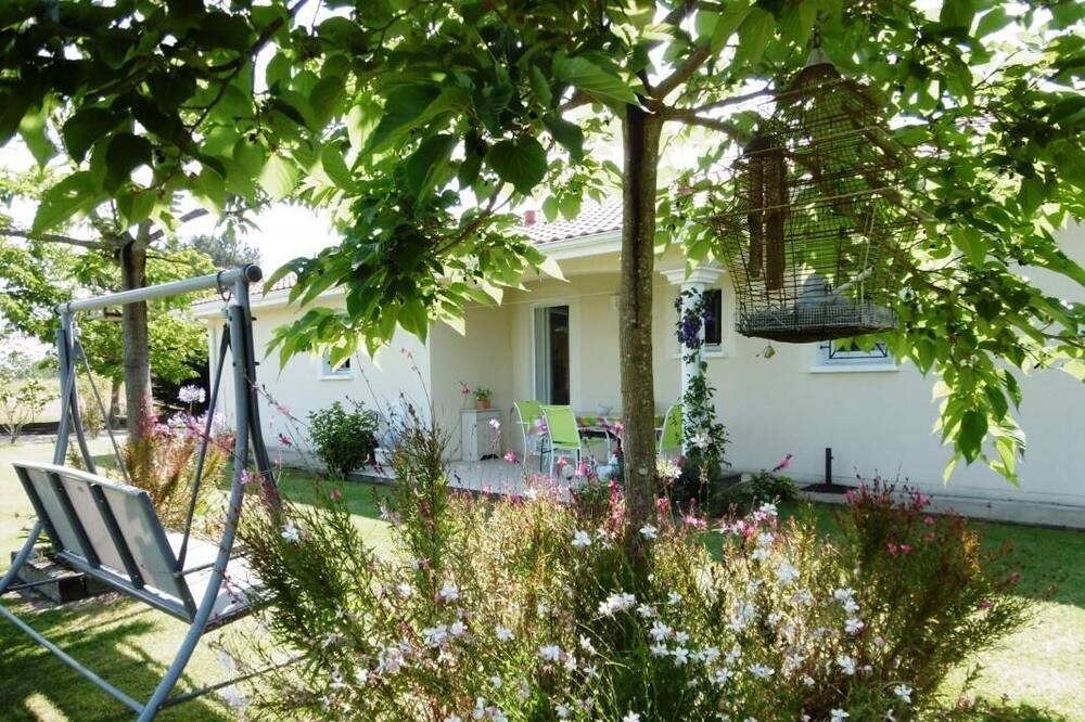 Photo of Outdoor in Bats