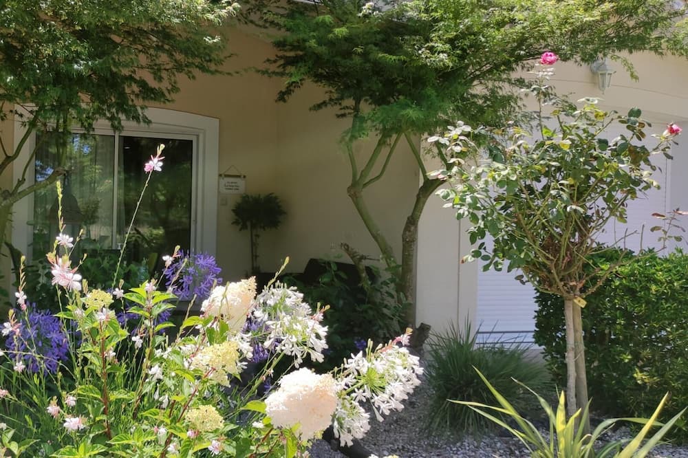 Photo of Outdoor in Bats