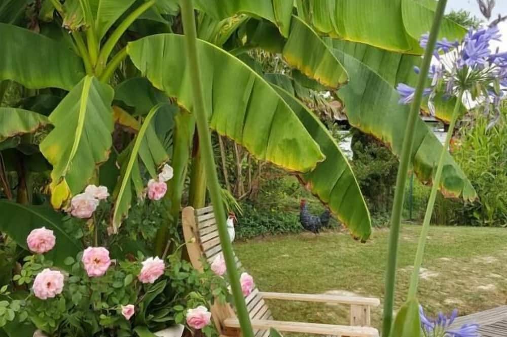 Photo of Outdoor in Bats