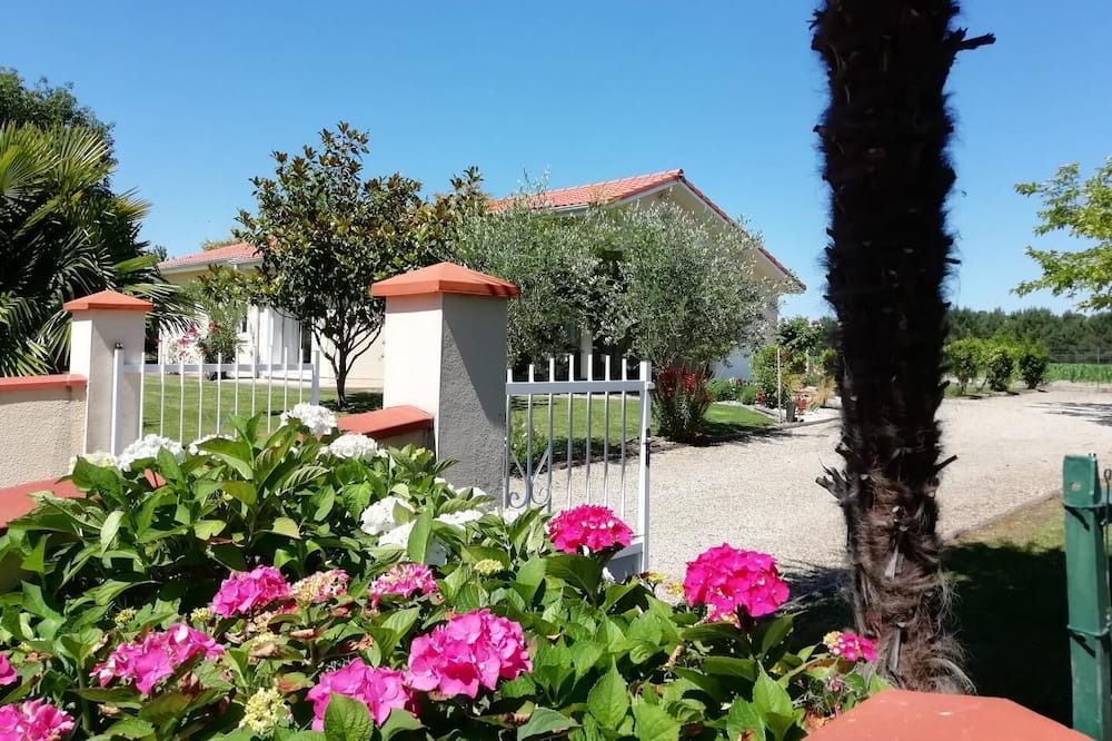 Photo of Outdoor in Bats