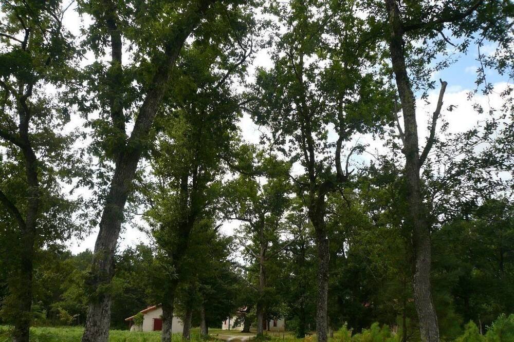 Photo of Outdoor in Meilhan