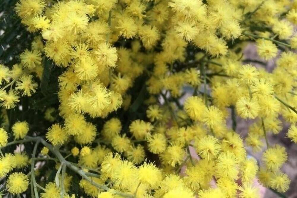 Photo of Others in Meilhan