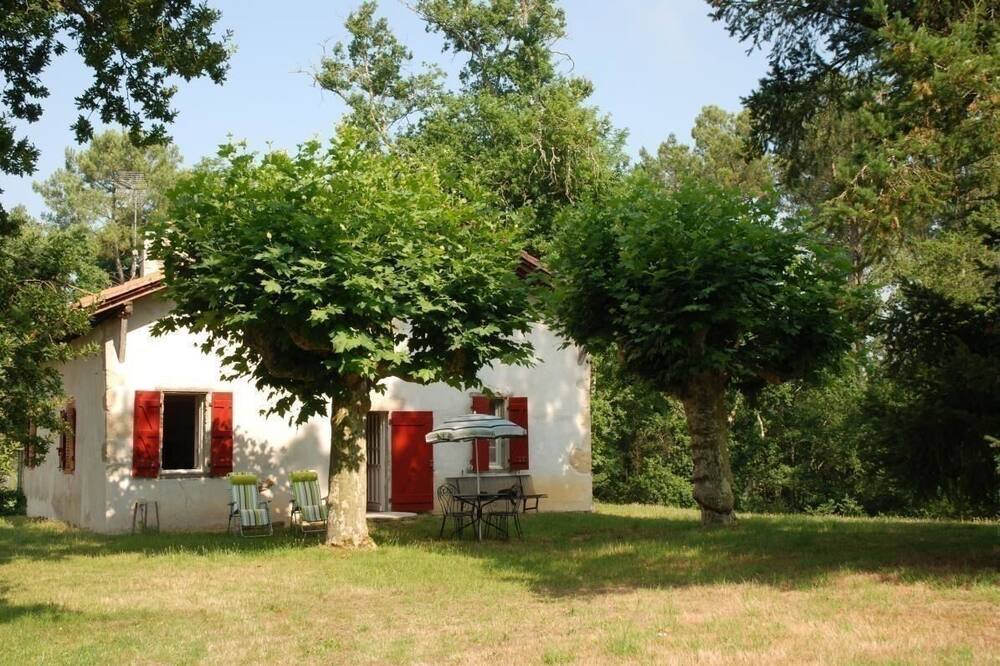 Photo of Outdoor in Meilhan