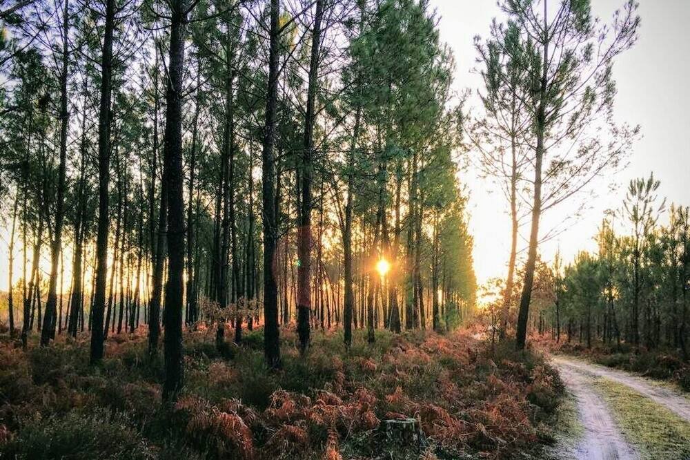 Photo of Others in Meilhan