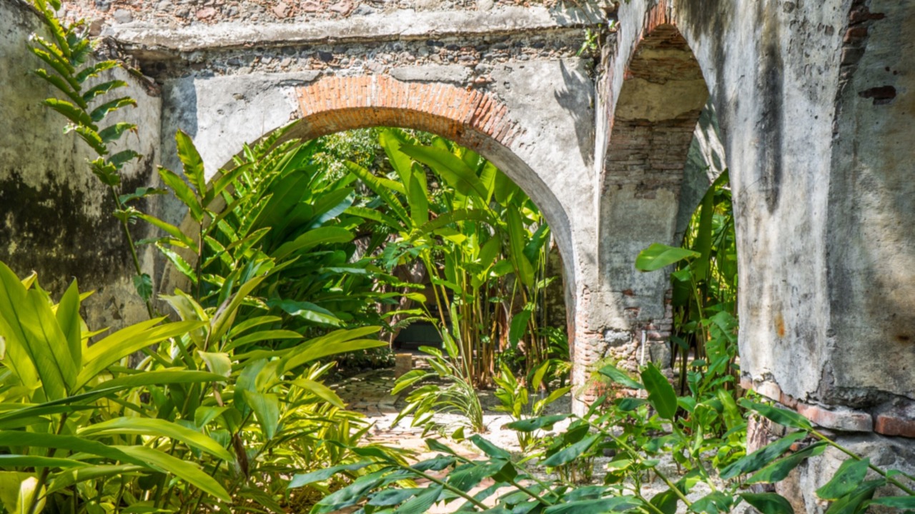 Photo of Outdoor in Axochiapan