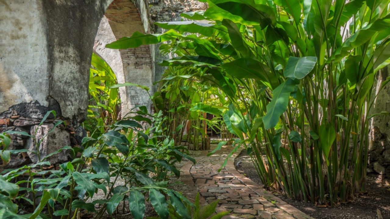 Photo of Outdoor in Axochiapan