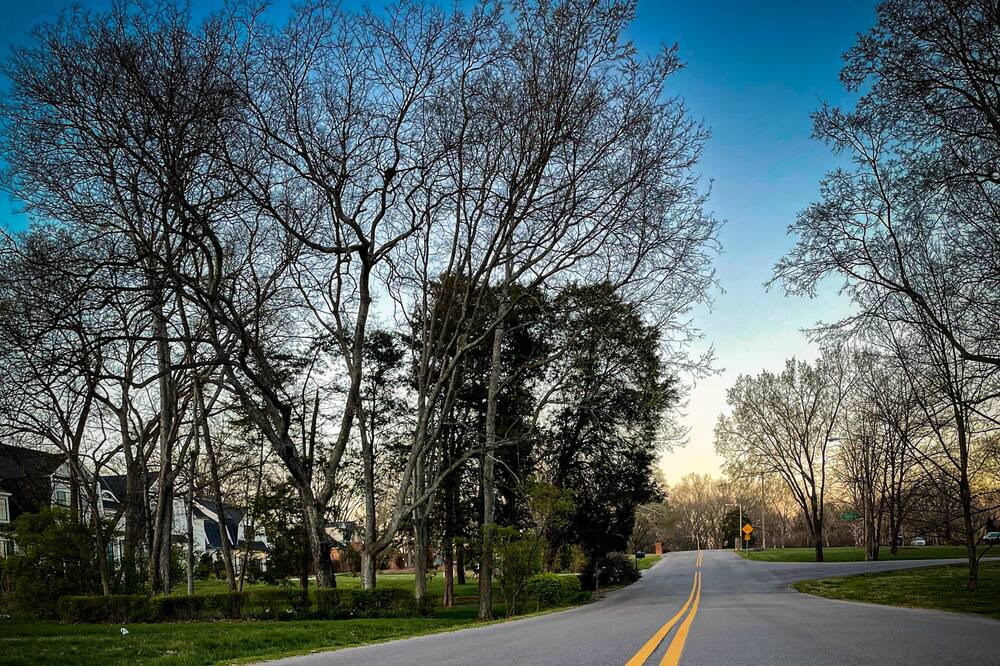 Photo of Others in West Meade