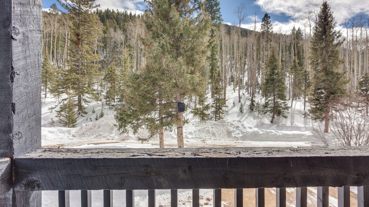 Photo of Others in Taos Ski Valley