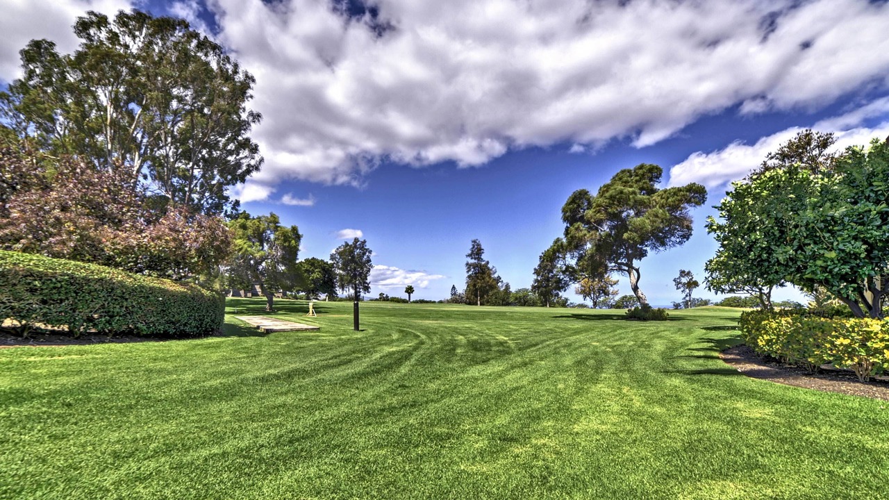 Photo of Others in Waikoloa