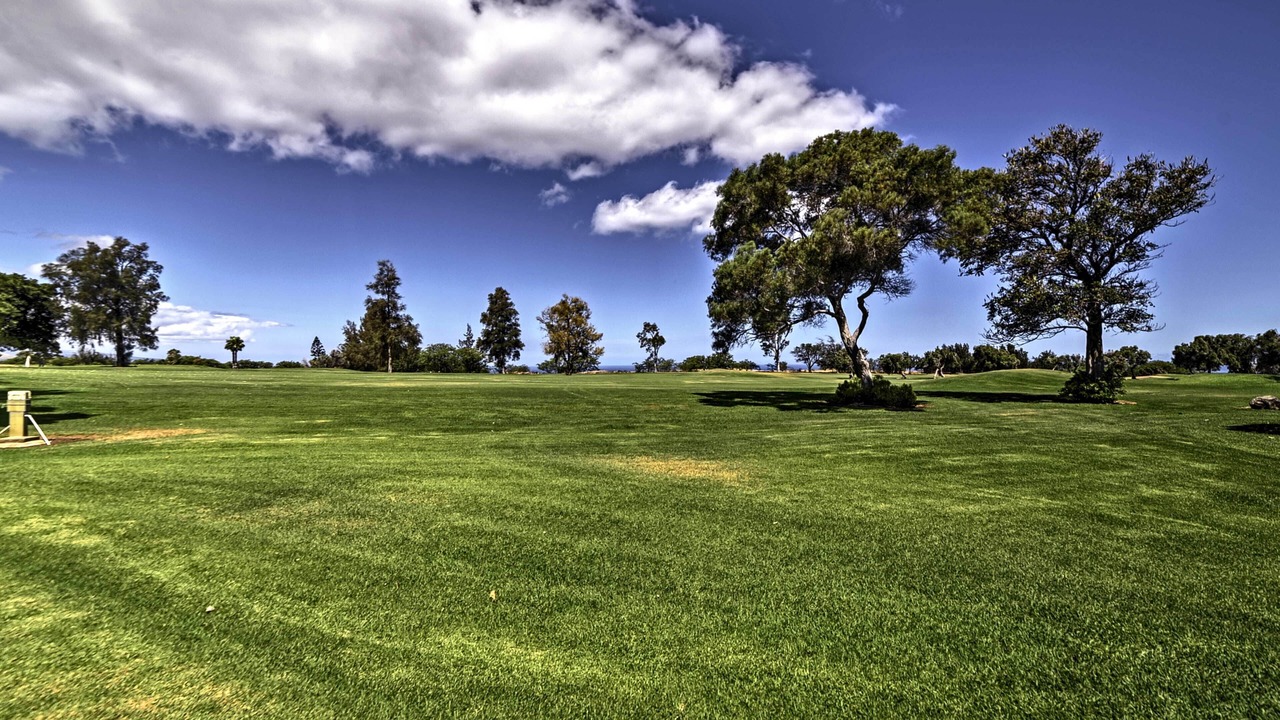 Photo of Others in Waikoloa