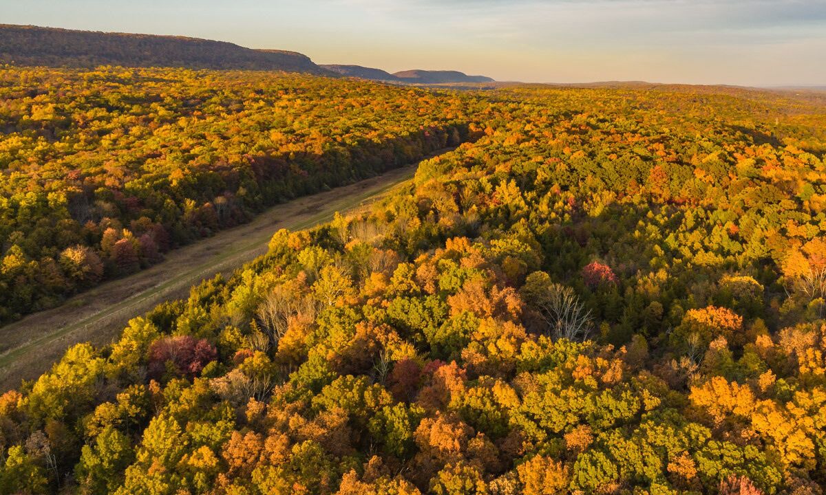 Photo of Others in Columbia