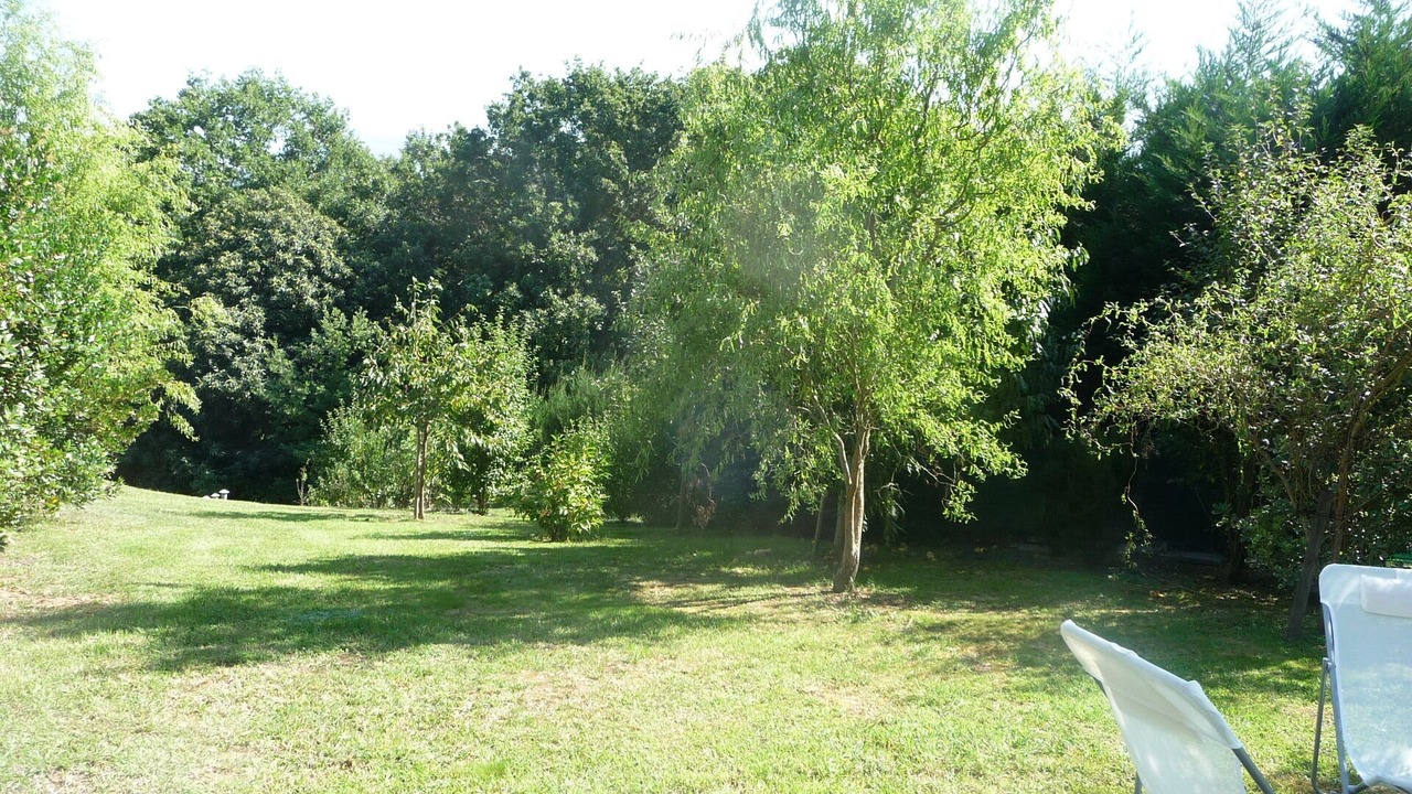 Photo of Outdoor in Macaye